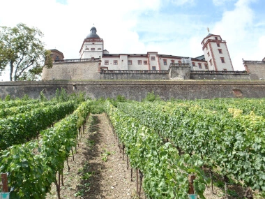 Weinberge und Festung Marienberg